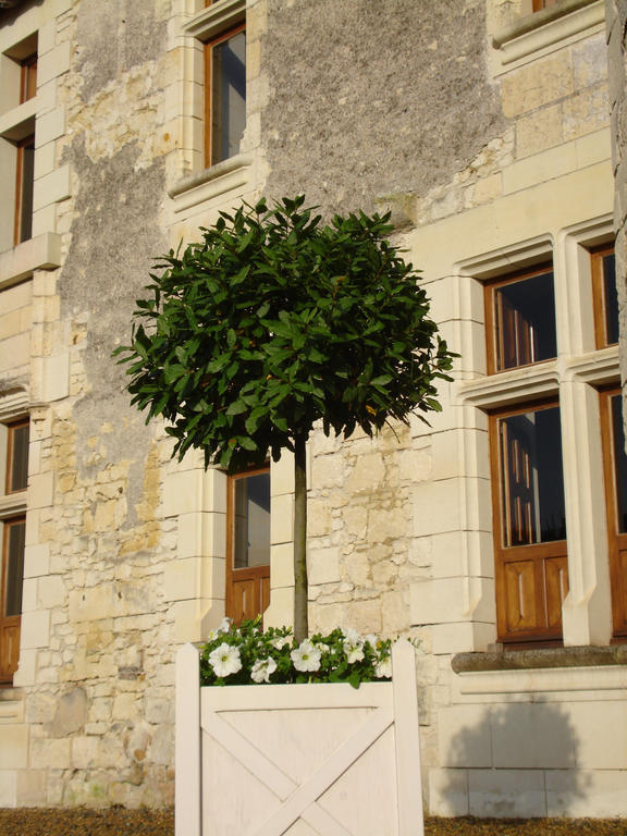 Manoir Du Bois Noblet Bed & Breakfast Louerre Luaran gambar