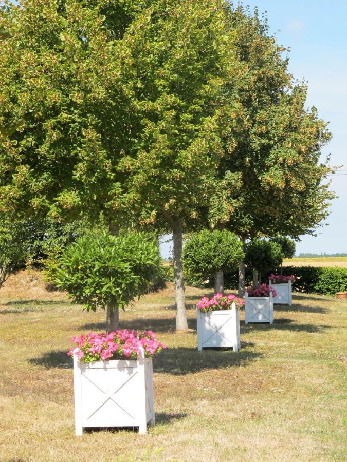 Manoir Du Bois Noblet Bed & Breakfast Louerre Luaran gambar